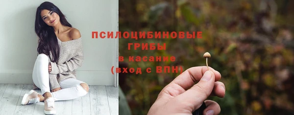 бошки Баксан