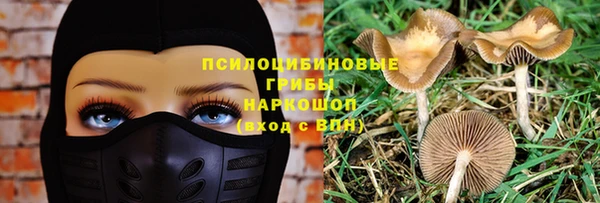 дурь Балахна