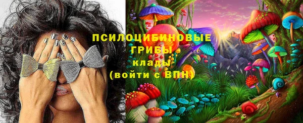 бошки Баксан