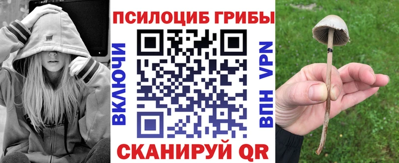 купить наркоту  блэк спрут ТОР  Галлюциногенные грибы GOLDEN TEACHER  Невель 